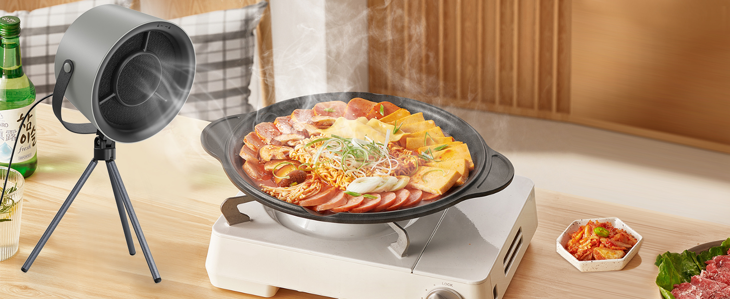Compact portable cooker hood for home use
